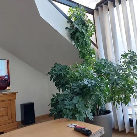 Ubytování v soukromí Chez Felia Villeparisis